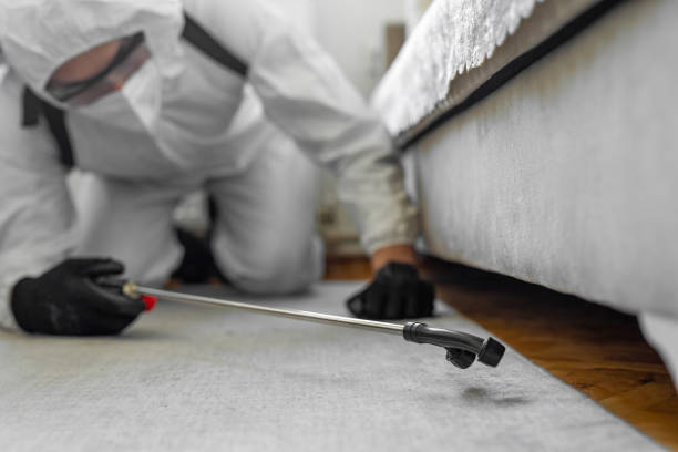 Professional Bed Bug Control technician working in Lordship, CT